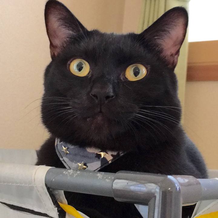 5aadb716 391d 44da ac46 82b09da3522a