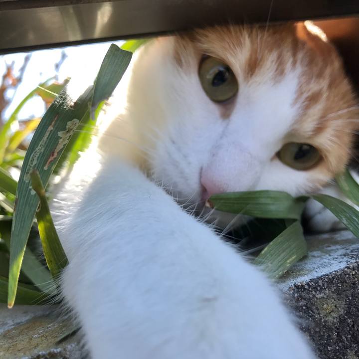 5aae3e75 da05 479d b715 2d8895f6239b