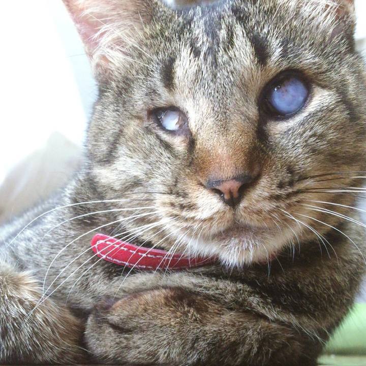 5aaea8a3 239b 4142 99af 2b1e59785995