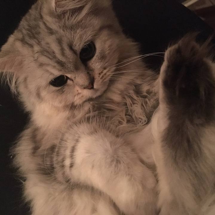 5aaeb557 fab3 4dda 9588 6b70701ef306