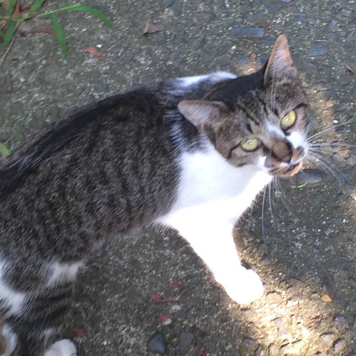 5aaed893 97b7 4194 a5ae 3e88cb2d8572