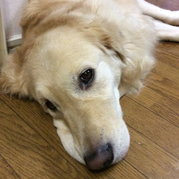 5aaef6ce 5523 426b 9f63 af6a61fe8cde