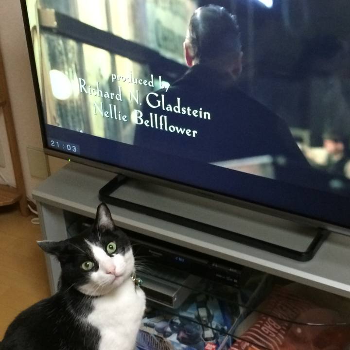 5aaf0431 0a5f 4060 bb66 72825442f3d6