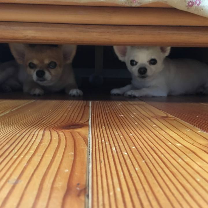 5ab06536 a197 4849 8df9 5625e362e341