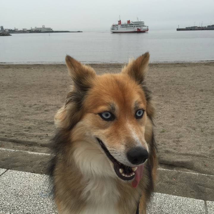 5ab0b4f0 2c16 44a6 b74e 560f164aeea4