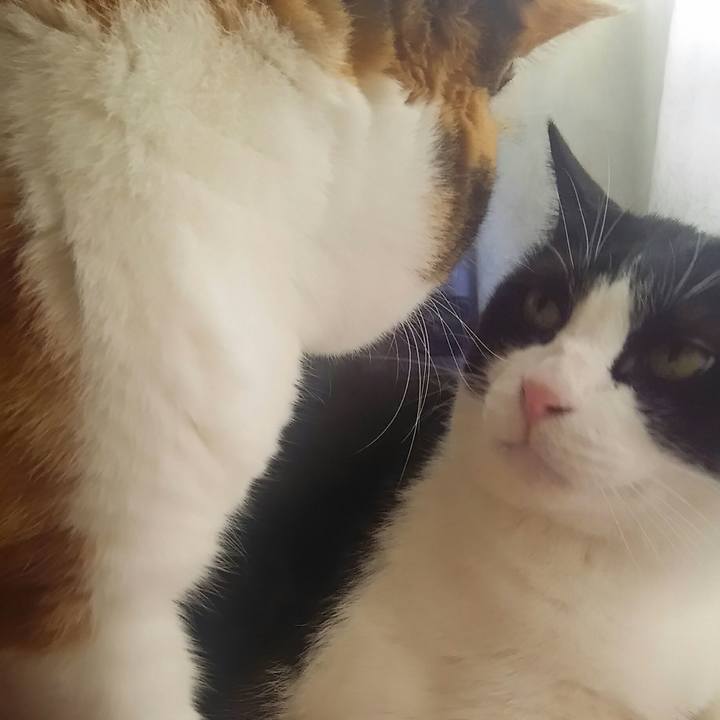 5ab13bbf 30f6 4d9b a4c4 b526e909bfb3