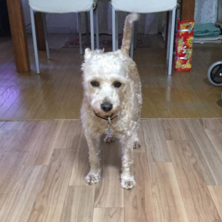 5ab1ad9e 3974 46c8 a927 526b4cad3cd9