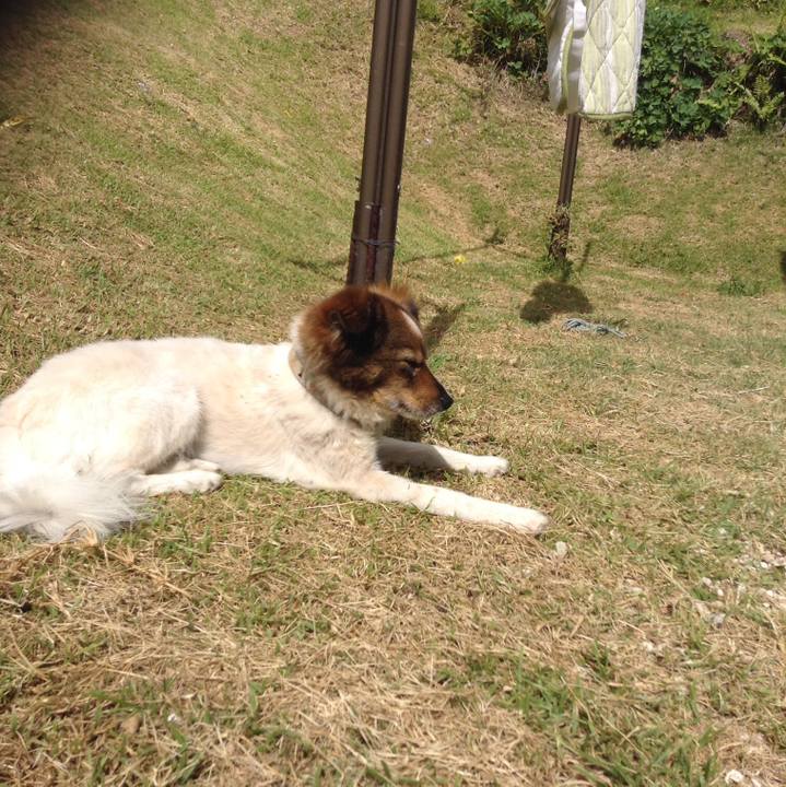 5ab24c13 694e 4abd b665 8416a368a85e