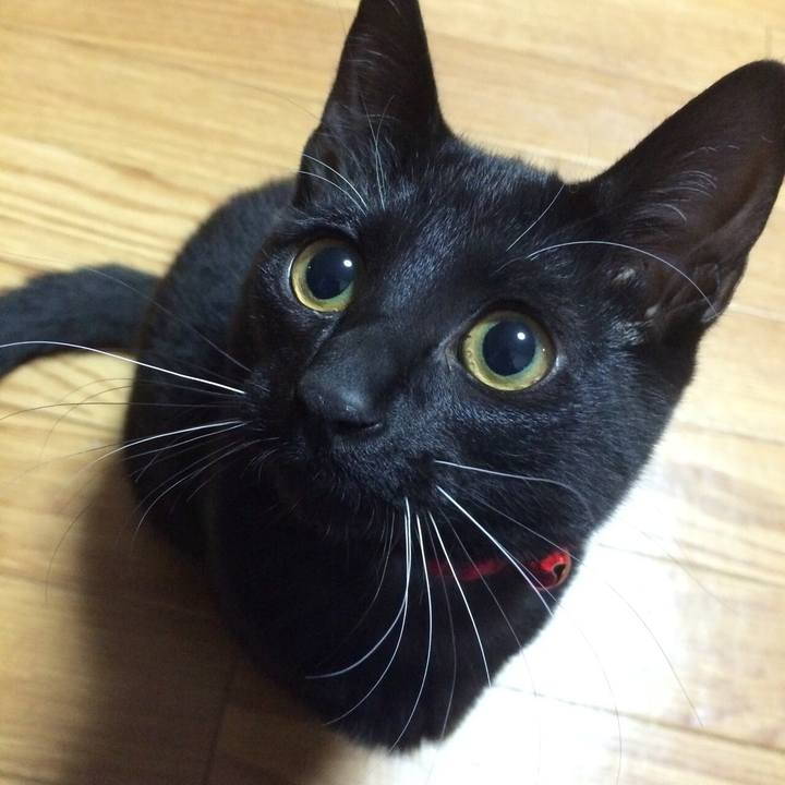 5ab293bd 1710 4413 ae04 d41685286d14