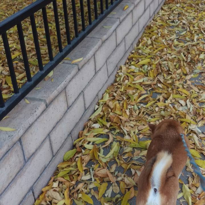 5ab2b6fe 6c32 41cf a2fb 9a5387d2348e