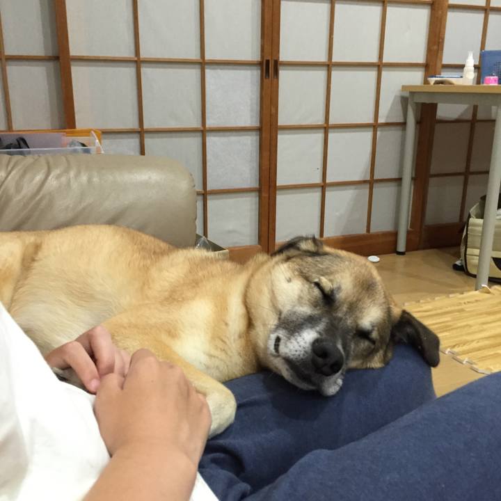 5ab2f8a3 0cfb 4c0a b315 0c0af5bdf6e2