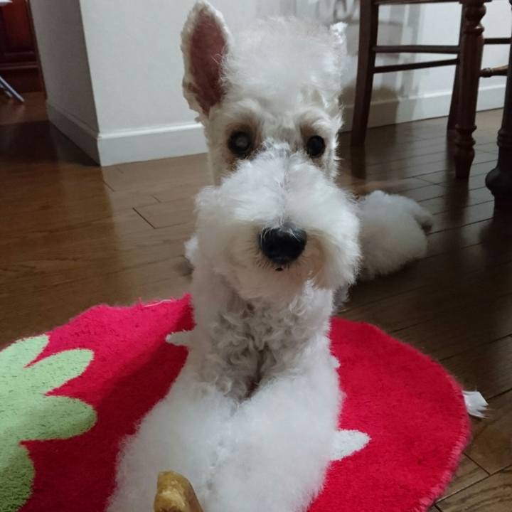 5ab30964 077d 44c0 8adf ee106c17e593