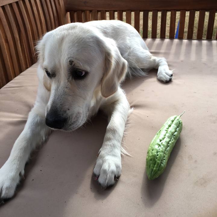 5ab37d10 7a5c 49fd 81ed 5ebdb2d9213b