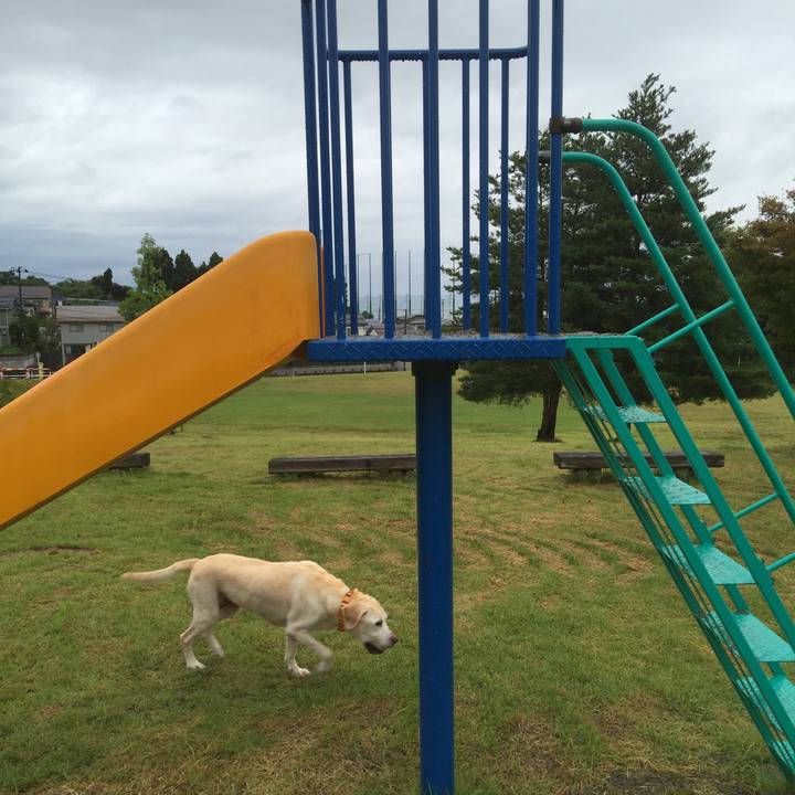 5ab38075 e16a 47fa bcf1 956b13be6ca3