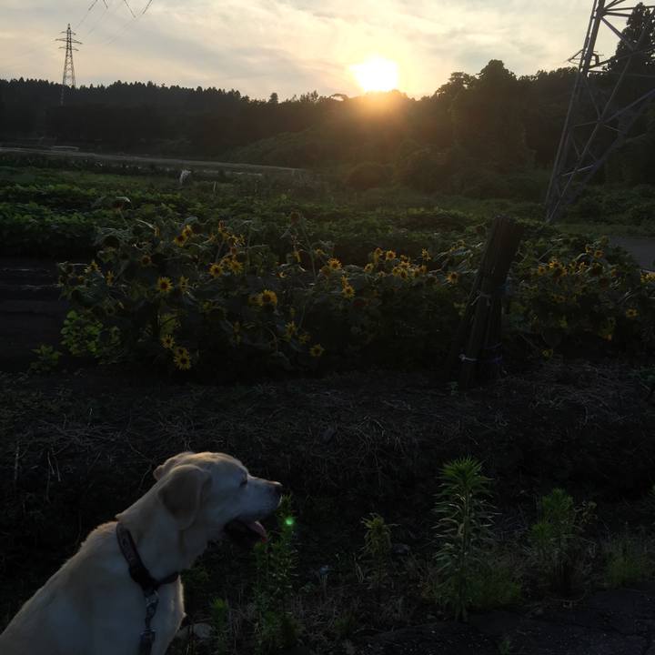 5ab3e5c6 2c91 47e7 a329 add6edc8e176