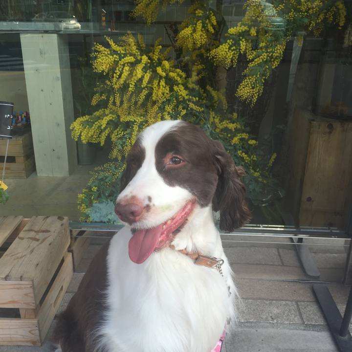 5ab3eeac 6042 48a1 89c2 de1fce68d7c4