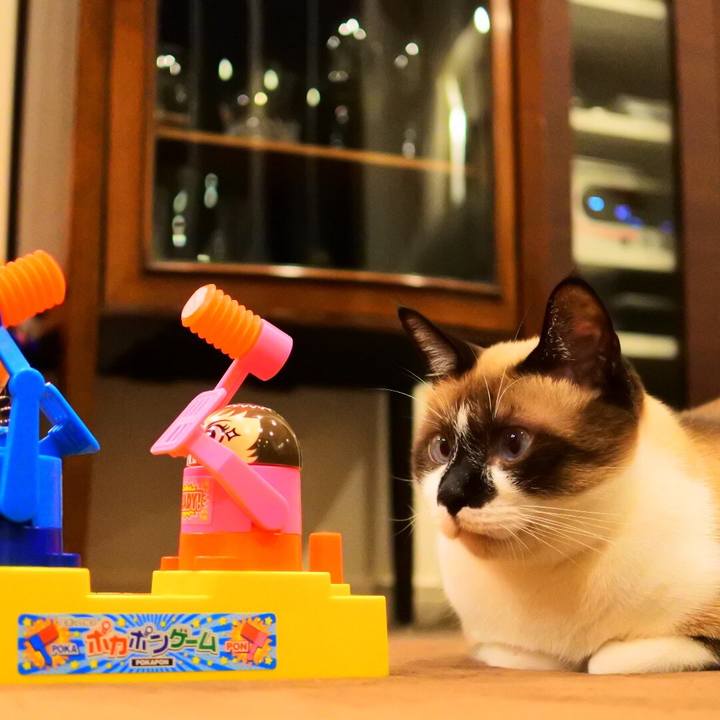 5ab3f1bd f22c 47c1 a1e8 1405291f2cd0