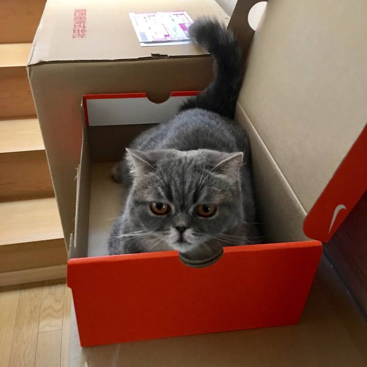 5ab40da3 37a2 47bc 8377 f9ddae3199fa