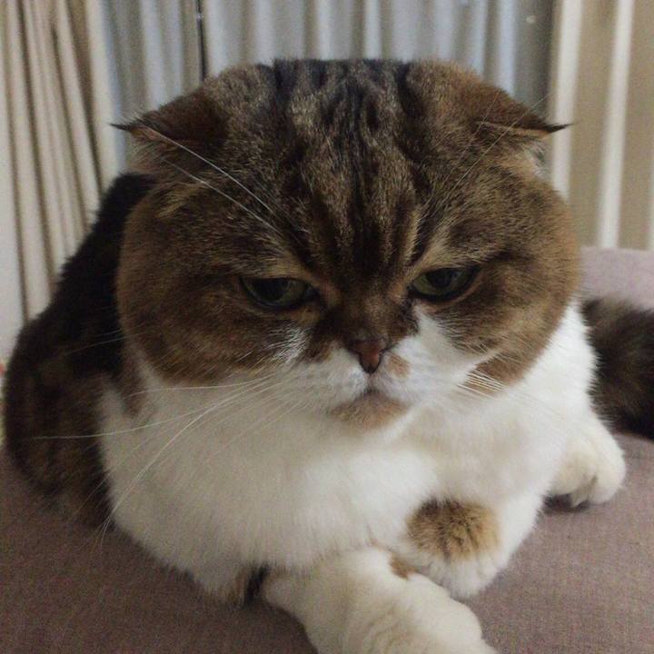 5ab47f30 a630 4ef3 97e8 272d7e696444