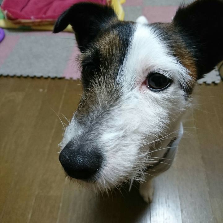 5ab575cb 0dca 4649 8b39 da47fb7f55b5