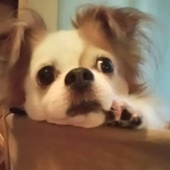 5ab62b83 18ee 4494 8210 0cb272b9e035