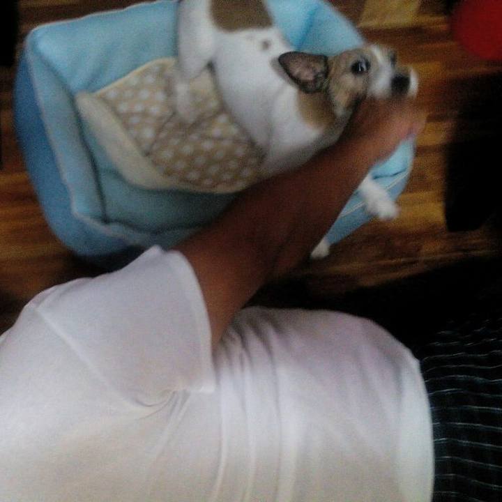 5ab65995 cdd9 44c4 b21e 750957d72f81