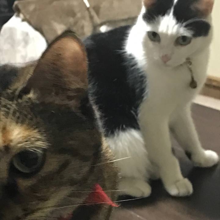 5ab6f077 9777 48c9 909b 07004ef4e9b9