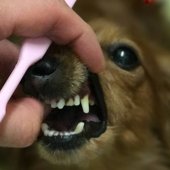 5ab72390 ea8e 425a 93d1 b0a230831d9c