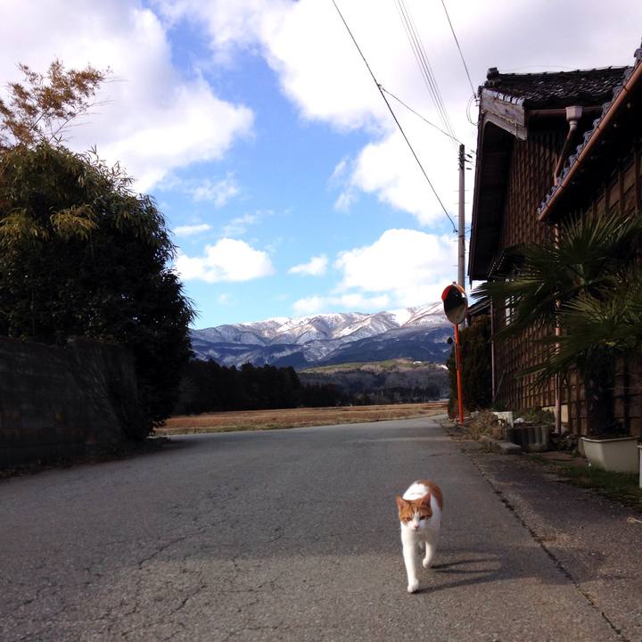 5ab72848 3735 4897 820e aacc2fb6f169