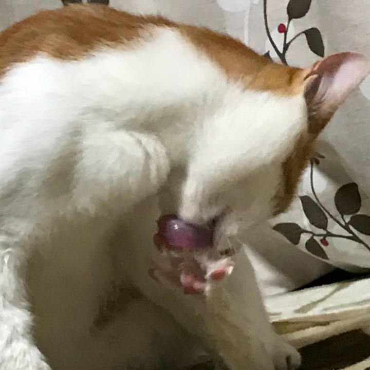 5ab736d1 6ef9 4cb9 ac9f 31d6e31a6ef3