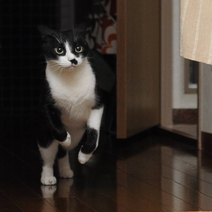 5ab75a91 58a3 414c 9fb6 851a272e6de4