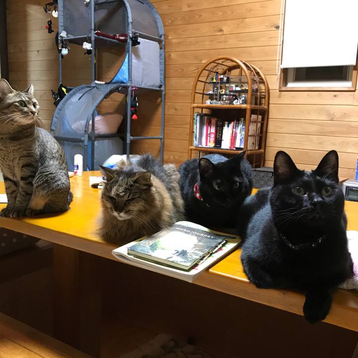 5ab79c01 5ac2 4d40 9135 e3be06292d0c