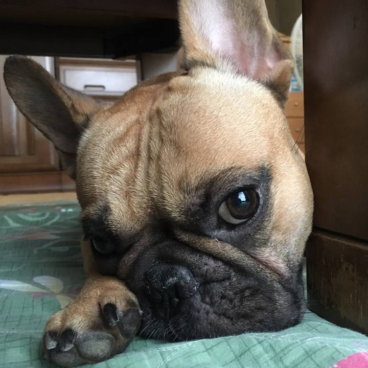 5ab9f05d 6f43 433d 8986 b2e7912eff76