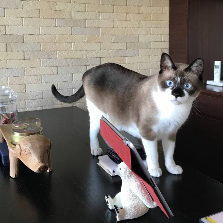 5aba32db 2e34 469d a18f b1aff03cc398