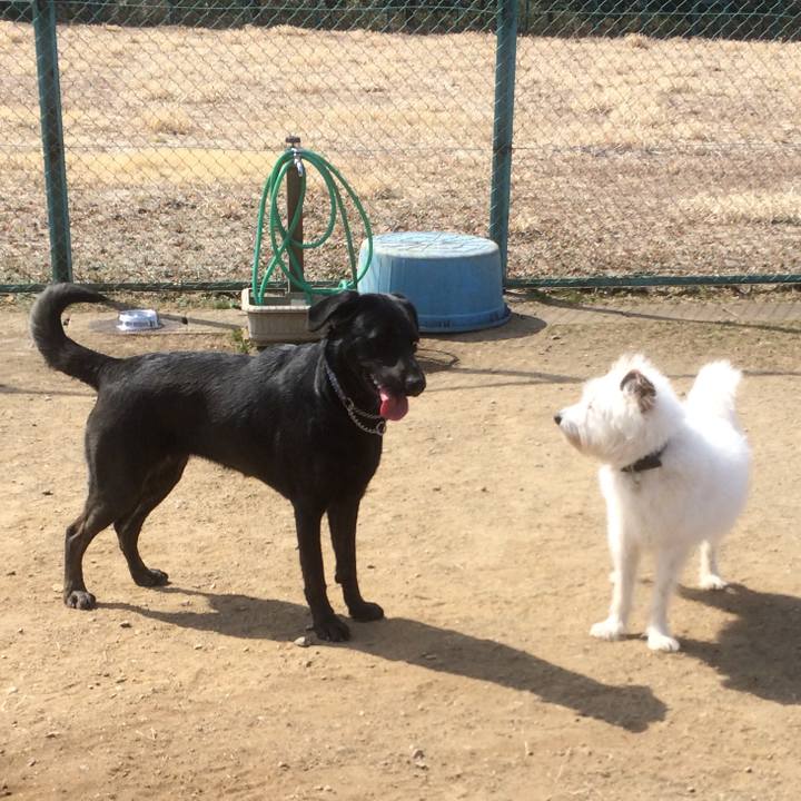 5abadb3b 2832 4d9c 97f7 a3da58b86b35