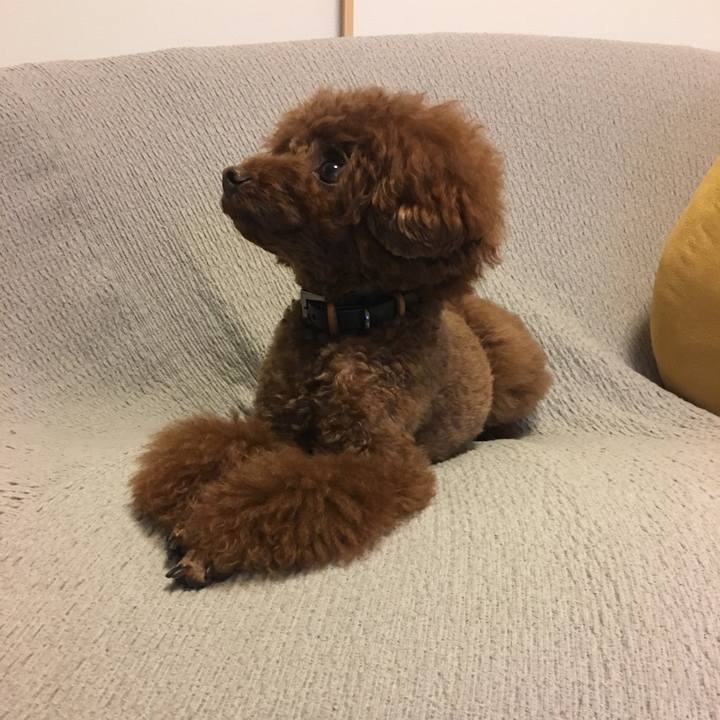 5abaf62b 0636 4d41 ab3c 404cd1625bd1