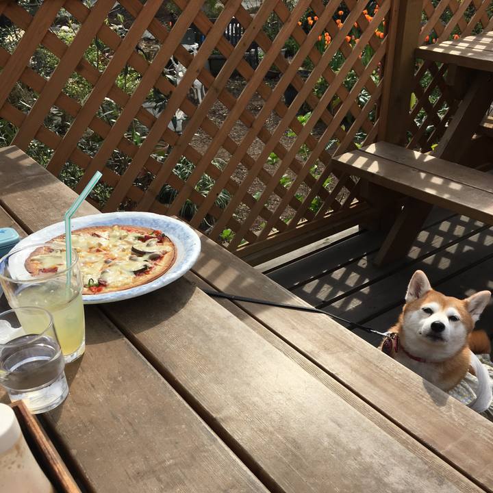 5abb4ab4 1724 456b b312 0249ac350967