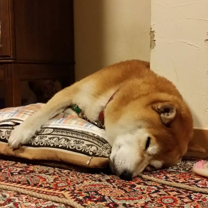 5abbef34 4cae 42d8 9a31 aede65cf92ca