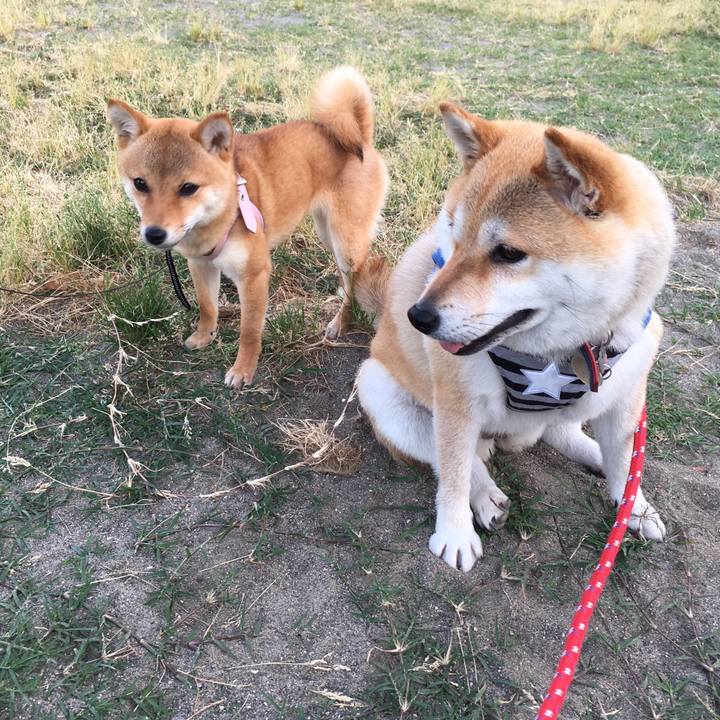 5abbf2b2 222a 40a9 a30c 07a3b55b1122