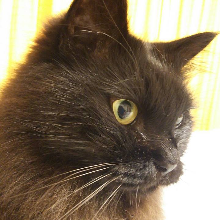 5abc0795 8ea3 4665 b213 d030c25a8311