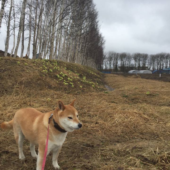 5abc82d7 79f1 4200 a961 b184b13b9f46