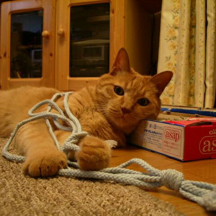 5abcb35b 13f9 4e22 9835 aed298386c3c