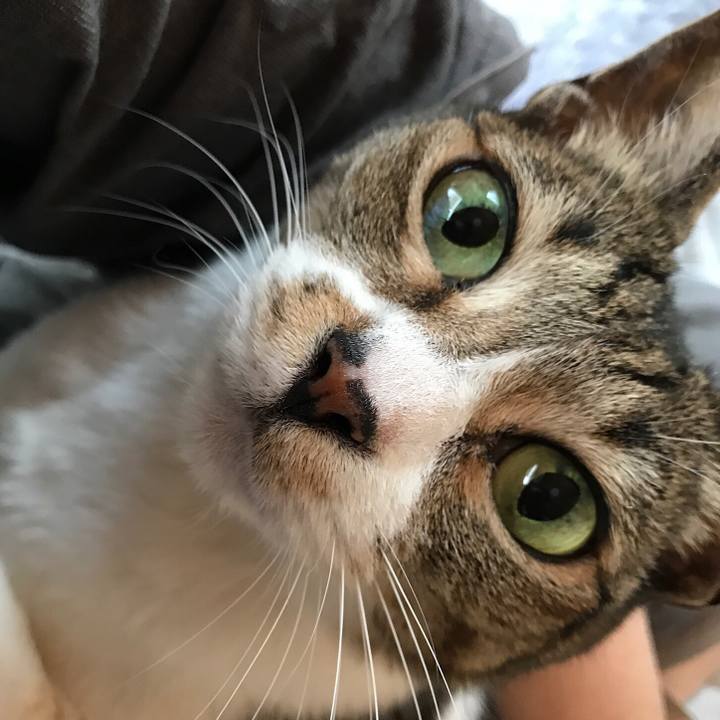 5abcec5f 25a7 4c33 afd3 8345cfac76d0