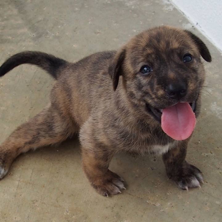 5abd3121 363d 4b28 a2a2 d72edc4ce5de