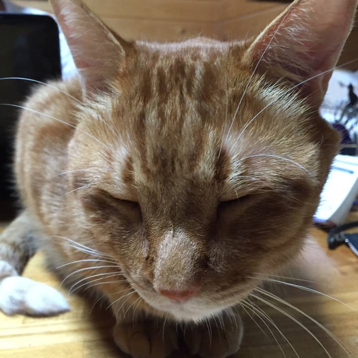 5abd84b2 9f9c 49a6 a3a7 b350f17d53dc