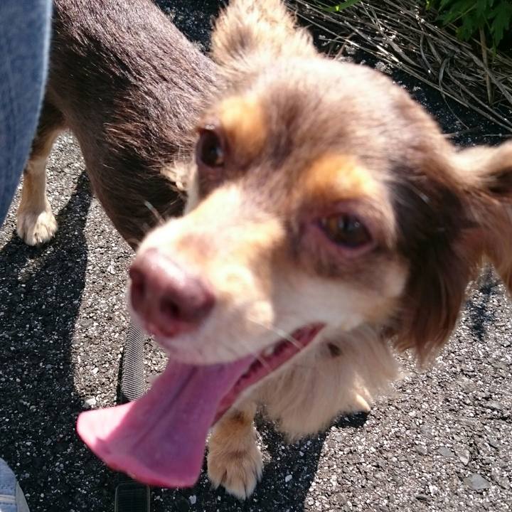 5abdce90 0c64 4d2b b02a 4bd6424667ba