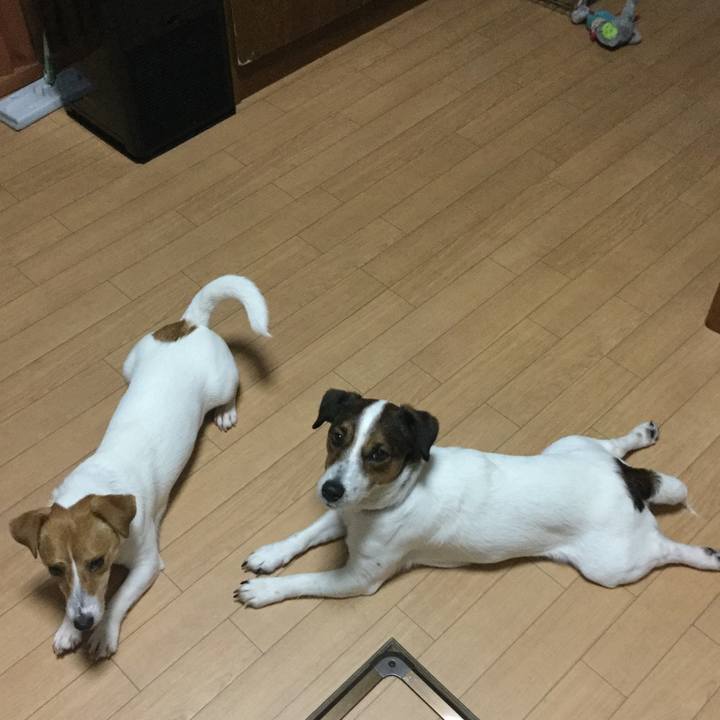 5abeb39c b311 421e 93f9 5af1ab2efca4