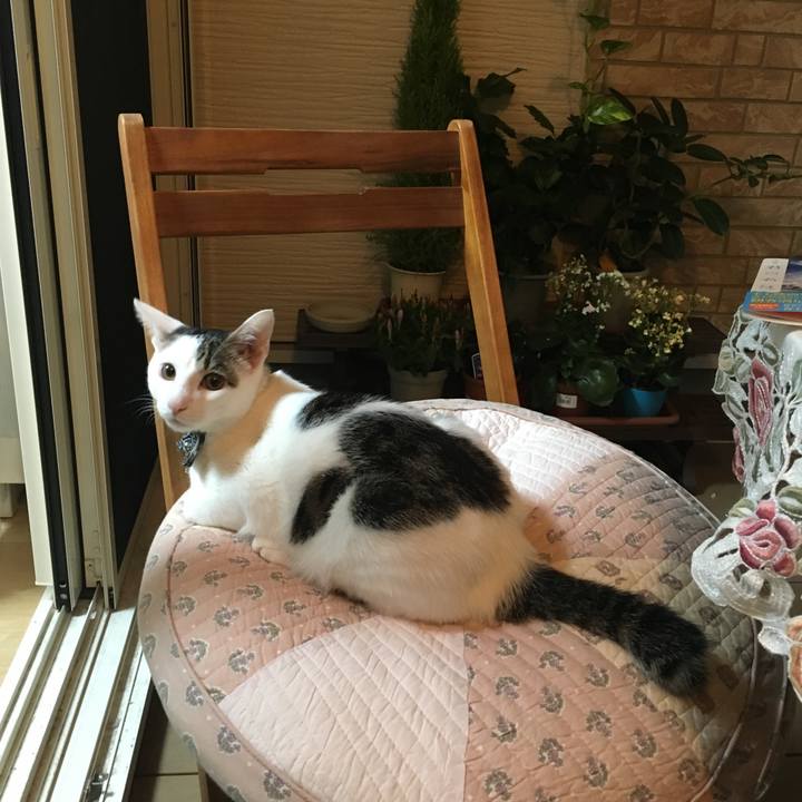 5abeb5b4 4162 4873 b74a 29411c797742