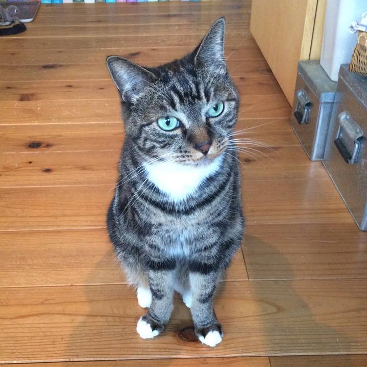 5ac02ac4 57a8 420a bc36 d316b740c5e5