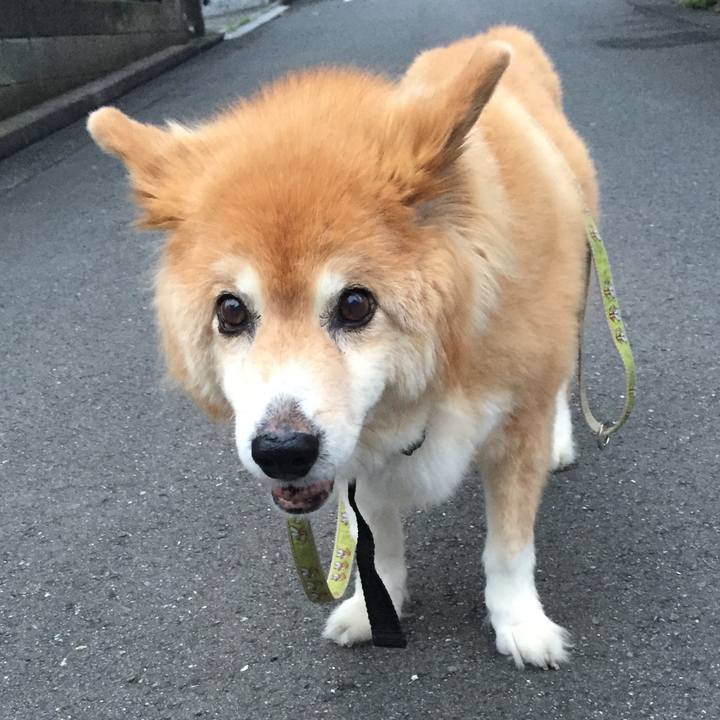 5ac0af1c bcc3 4b42 98b7 395d225670a1